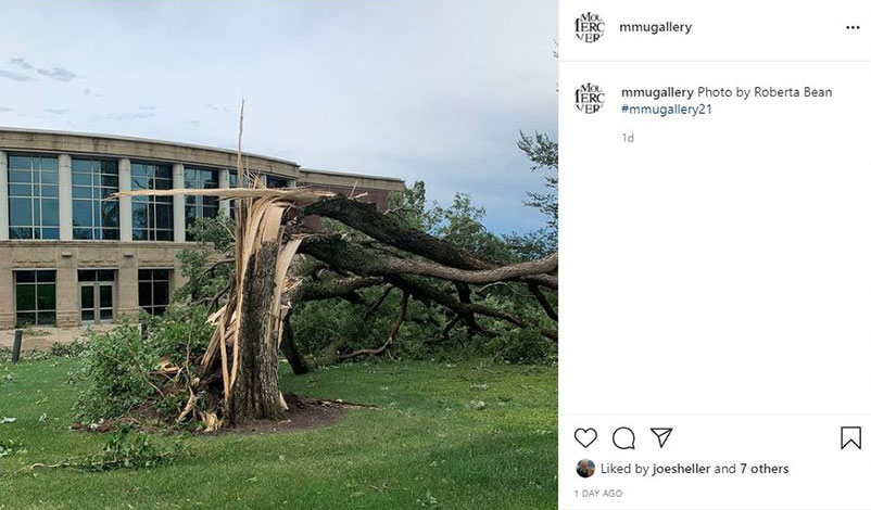 A fallen tree after the August derecho in Cedar Rapids, Iowa