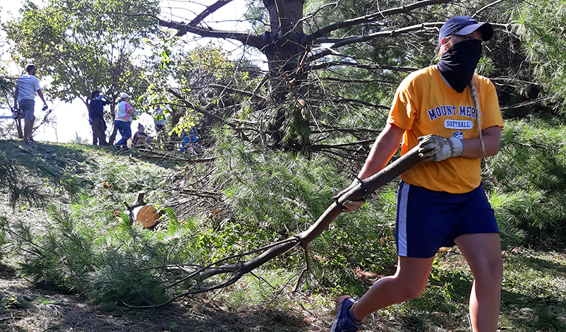 A woman dragging a loose branch