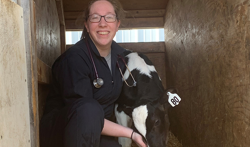 Monica Steffen '18 working with calf