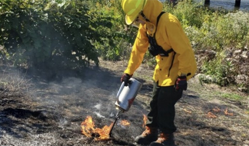 Conducting Prescribed Burn