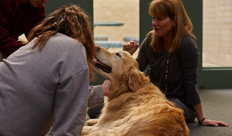 One dog gives a kiss to a diversion program participant.