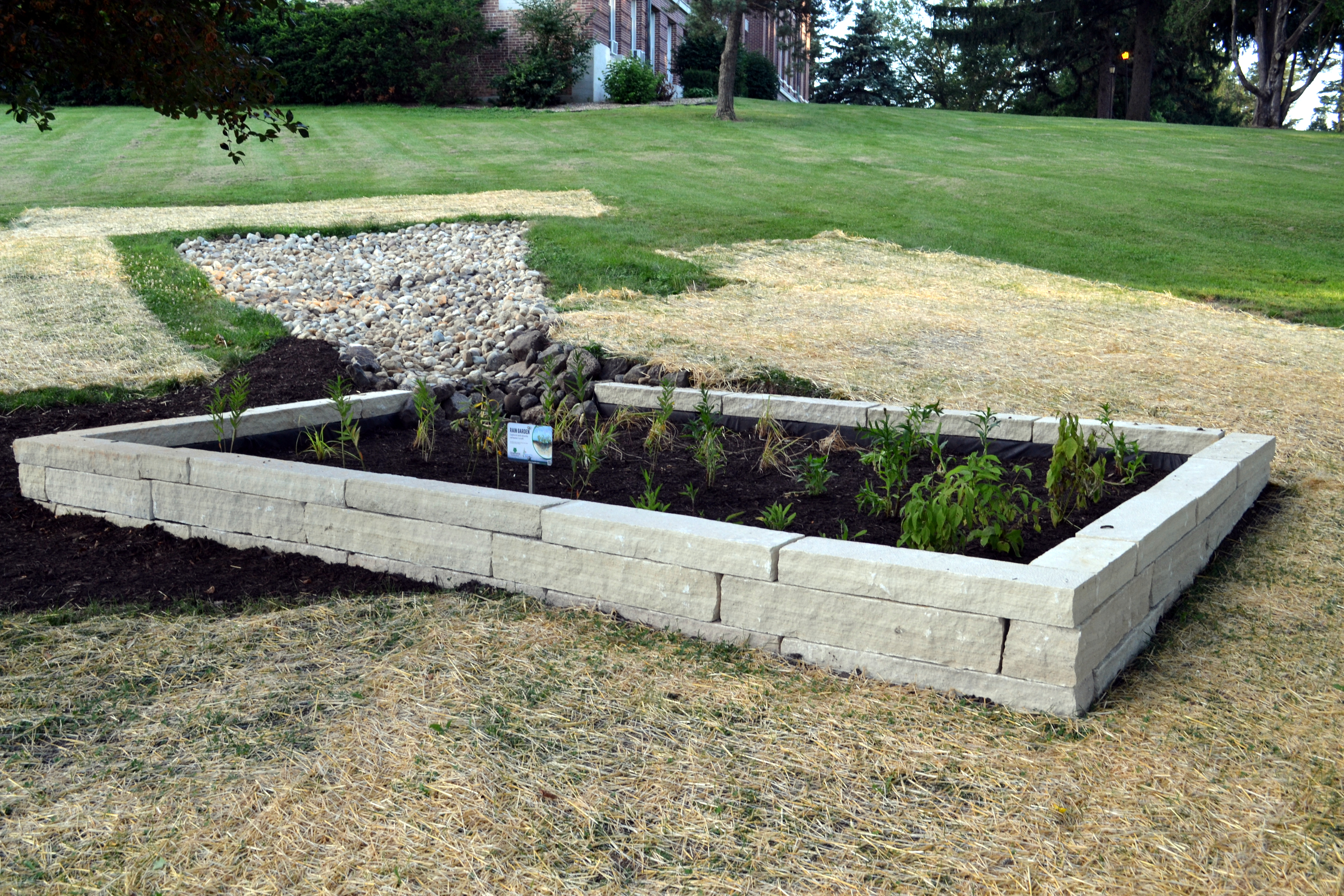 Rain Garden