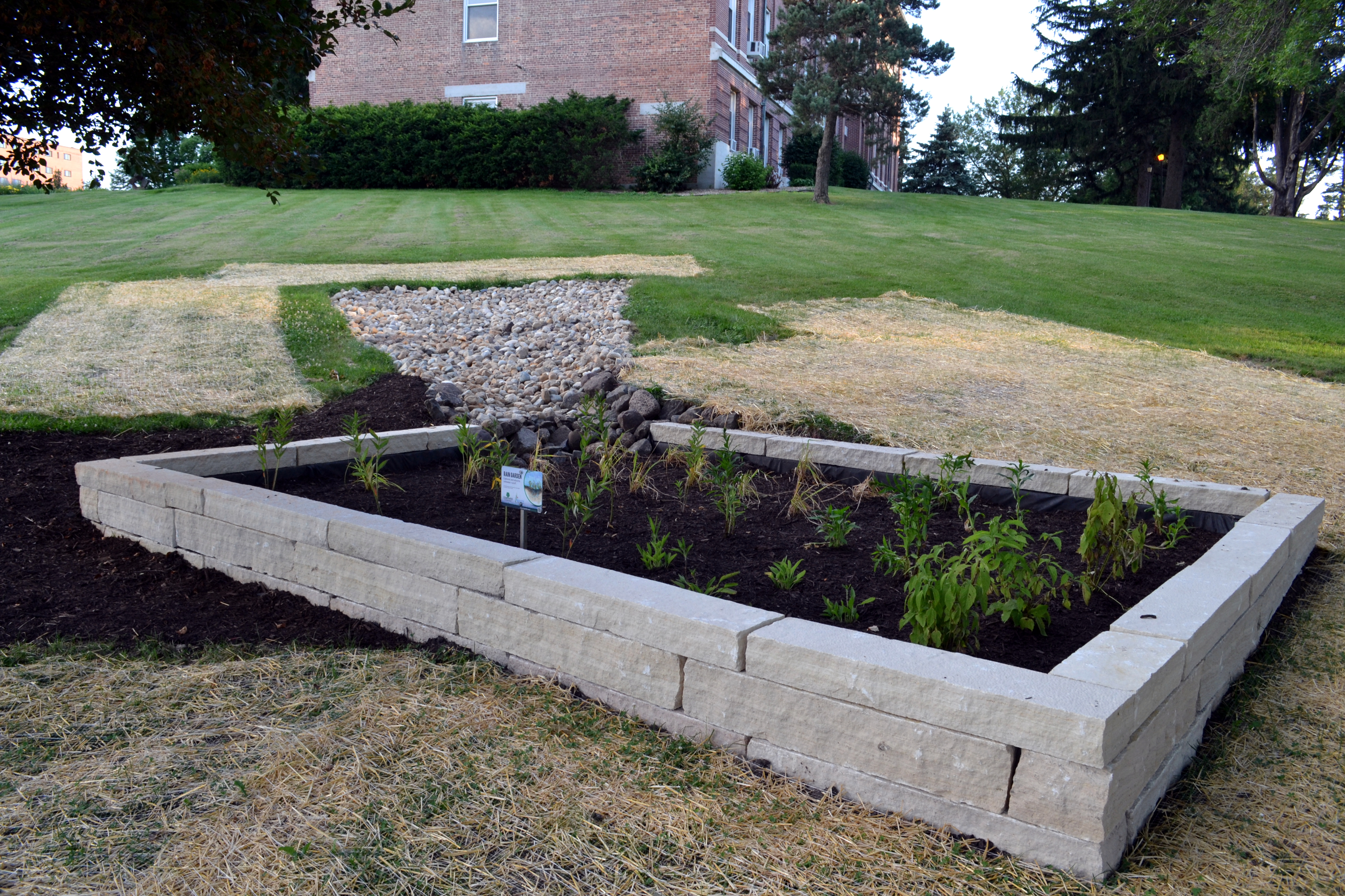 Campus Rain Garden